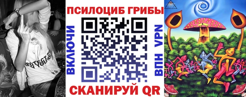 Купить где  Дербент  Галлюциногенные грибы Cubensis 